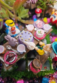 Alice in Wonderland Succulent Garden Workshop