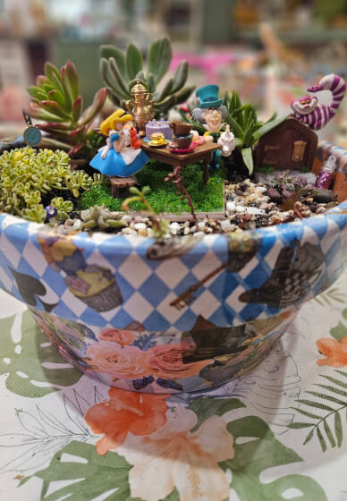 Alice in Wonderland Succulent Garden Workshop