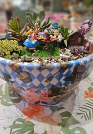 Alice in Wonderland Succulent Garden Workshop