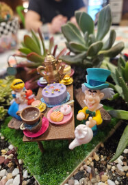 Alice in Wonderland Succulent Garden Workshop