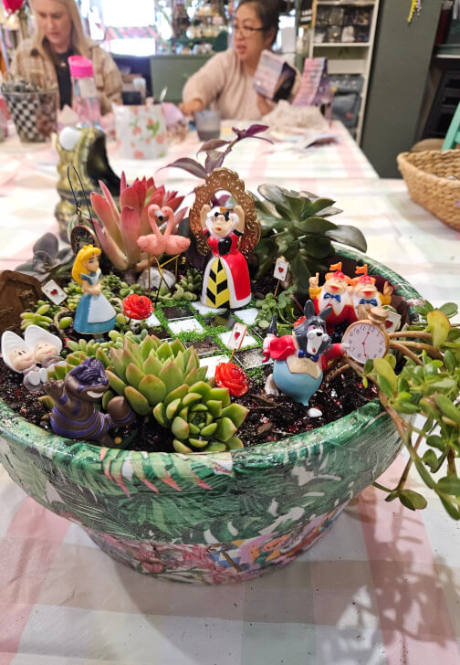 Alice in Wonderland Succulent Garden Workshop