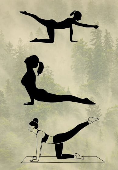 Ankeeta's Mat Pilates Class