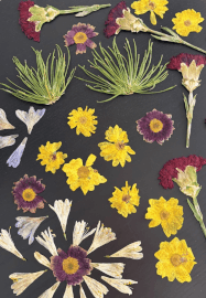 Art and Crafternoon Workshop for Two