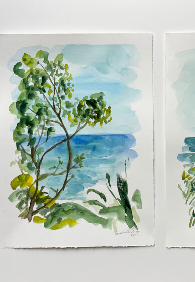 Art Class - Watercolour and Colour
