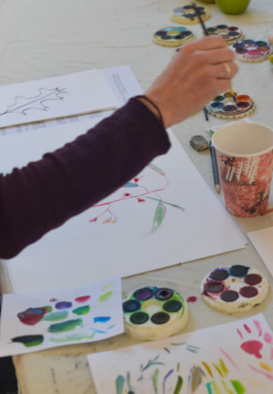 Art Class - Watercolour and Colour