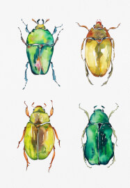 Art Club: Paint Without Fear