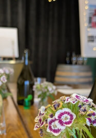 Art Club: Paint Without Fear