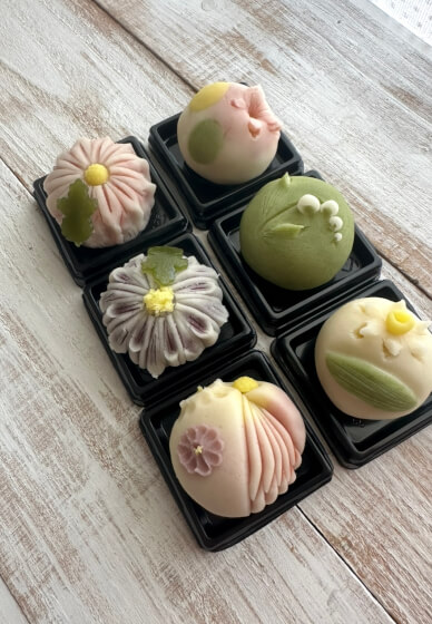 Art of Wagashi Workshop
