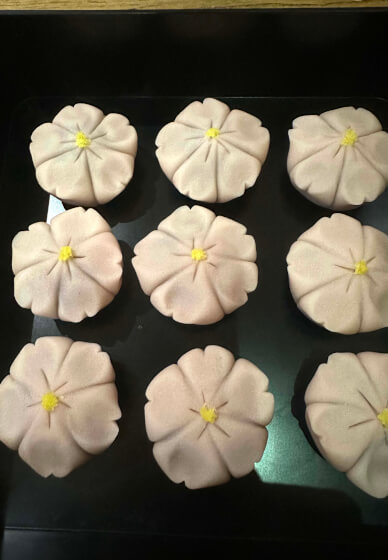 Art of Wagashi Workshop