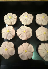 Art of Wagashi Workshop