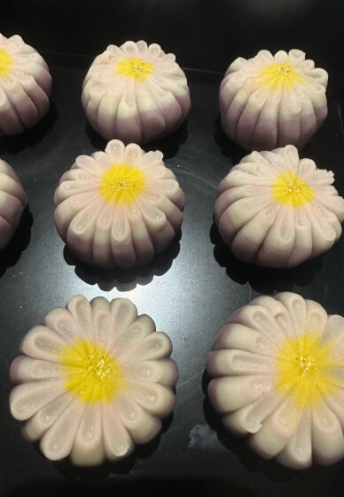 Art of Wagashi Workshop