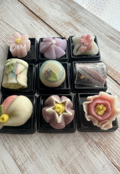 Art of Wagashi Workshop