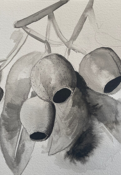 Art Retreat. Enjoy a Day of Botanical Ink Drawing