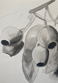 Art Retreat. Enjoy a Day of Botanical Ink Drawing