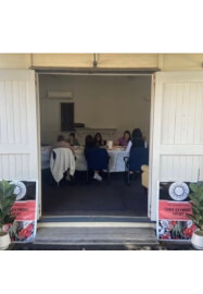 Art Retreat. Enjoy a Day of Botanical Ink Drawing