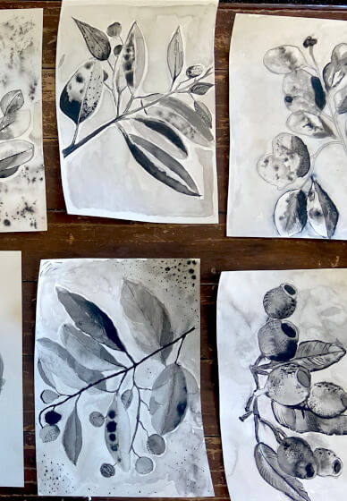 Art Retreat. Enjoy a Day of Botanical Ink Drawing
