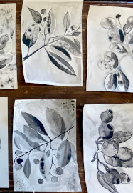 Art Retreat. Enjoy a Day of Botanical Ink Drawing