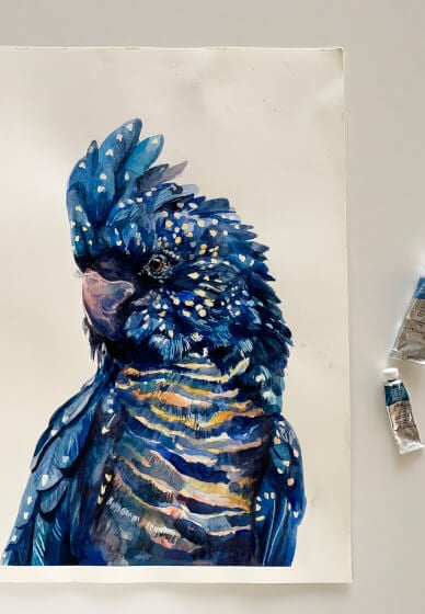 Australian Black Cockatoo Watercolour Painting Class