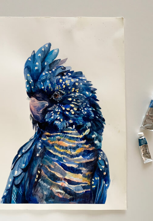Australian Black Cockatoo Watercolour Painting Class
