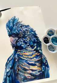 Australian Black Cockatoo Watercolour Painting Class