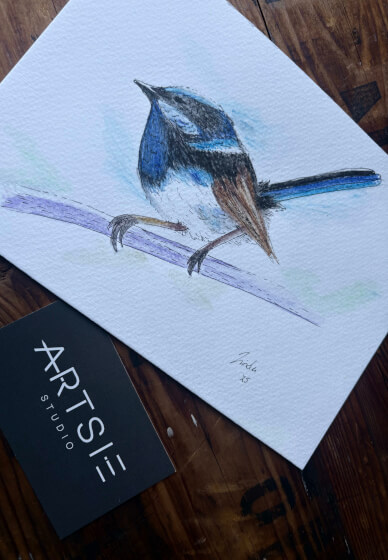 Australian Native Birds: Illustration Workshop