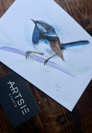 Australian Native Birds: Illustration Workshop
