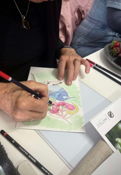 Australian Native Birds: Illustration Workshop