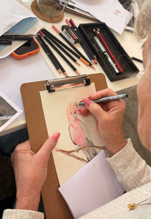 Australian Native Birds: Illustration Workshop