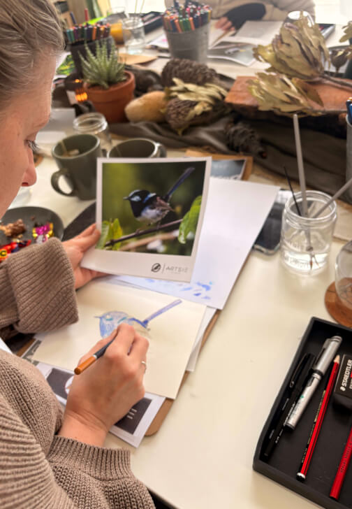 Australian Native Birds: Illustration Workshop