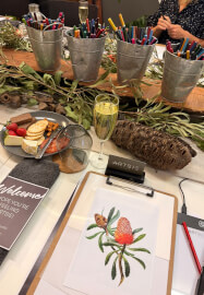 Australian Native Botanicals in Watercolour Pencil Workshop