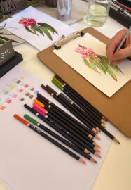 Australian Native Botanicals in Watercolour Pencil Workshop