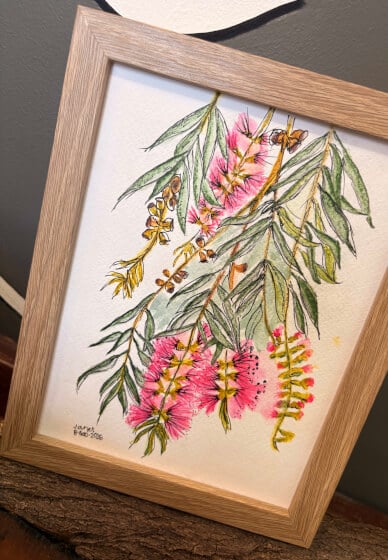 Australian Native Botanicals in Watercolour Pencil Workshop