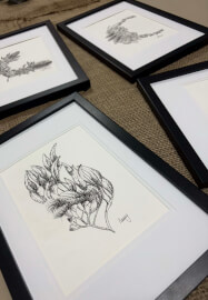 Australian Native Fine Line Workshop