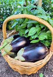 Authentic Flavours of Southern Italy Cooking Class