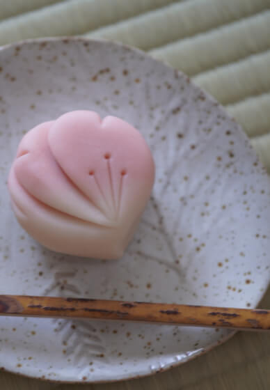 Authentic Japanese Tea Ceremony Experience