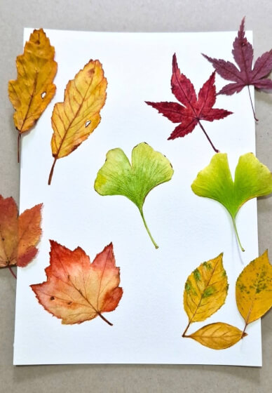 Autumn Leaves Watercolor Painting Class