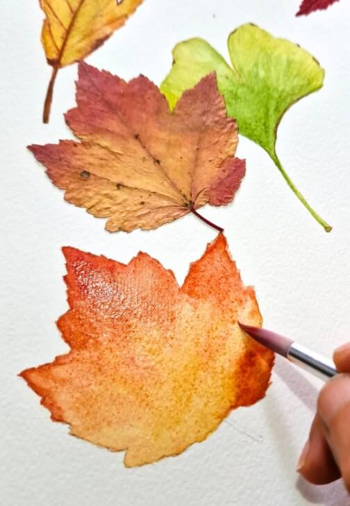 Autumn Leaves Watercolor Painting Class