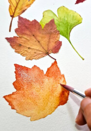 Autumn Leaves Watercolor Painting Class