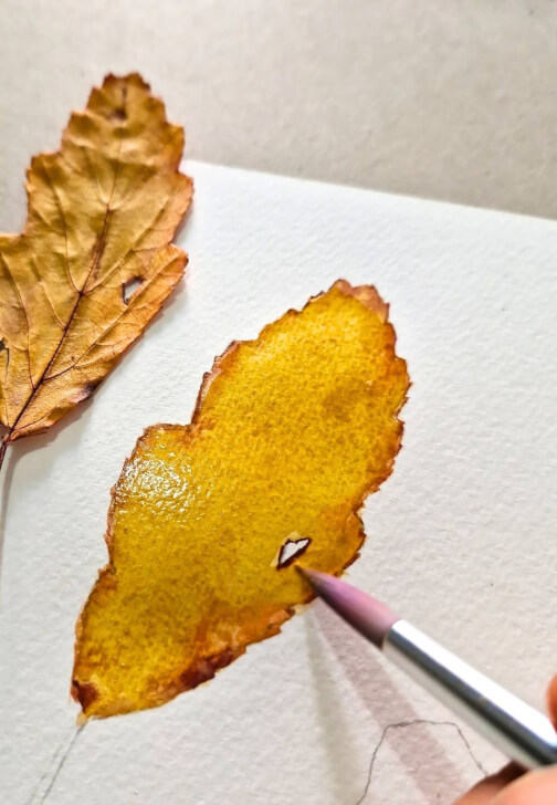 Autumn Leaves Watercolor Painting Class
