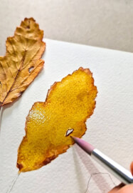 Autumn Leaves Watercolor Painting Class