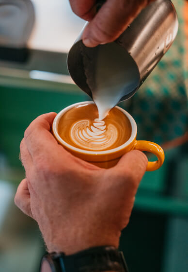 Barista Basics Workshop