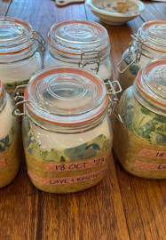 Basic Miso Making Workshop