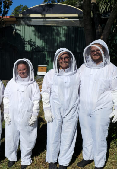 Beehive Honey Extraction Experience