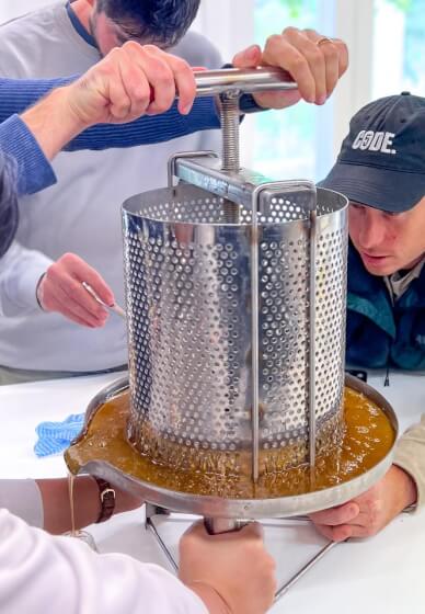 Beehive to Table: Hands-On Honey Harvest Workshop