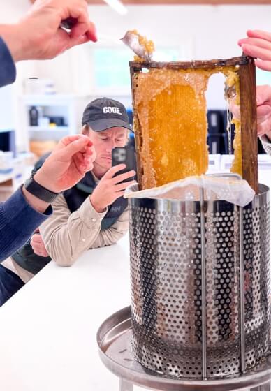 Beehive to Table: Hands-On Honey Harvest Workshop