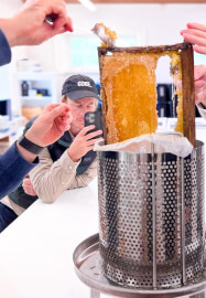 Beehive to Table: Hands-On Honey Harvest Workshop