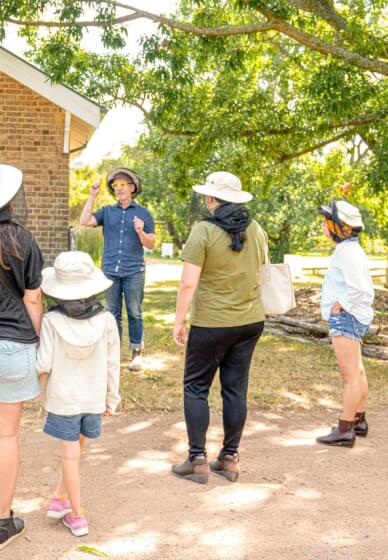 Beehive to Table: Hands-On Honey Harvest Workshop