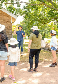 Beehive to Table: Hands-On Honey Harvest Workshop