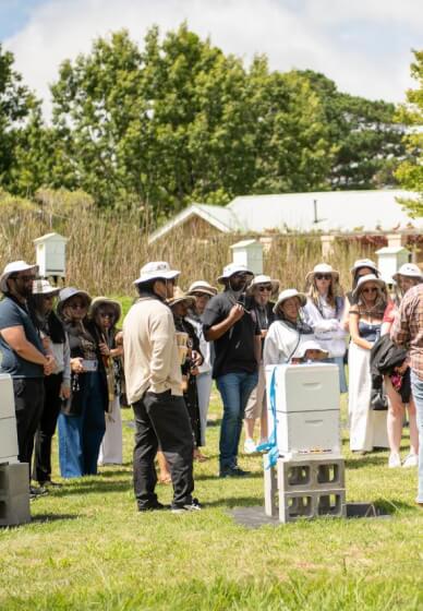 Beehive to Table: Hands-On Honey Harvest Workshop