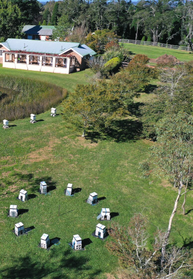 Beekeeping Class: Flow Hive Fun